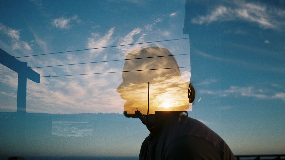 Bipolar Disorder – Dihexa evidence review