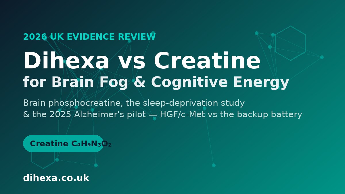 Dihexa vs creatine for brain fog and cognitive energy - 2026 UK evidence review illustration