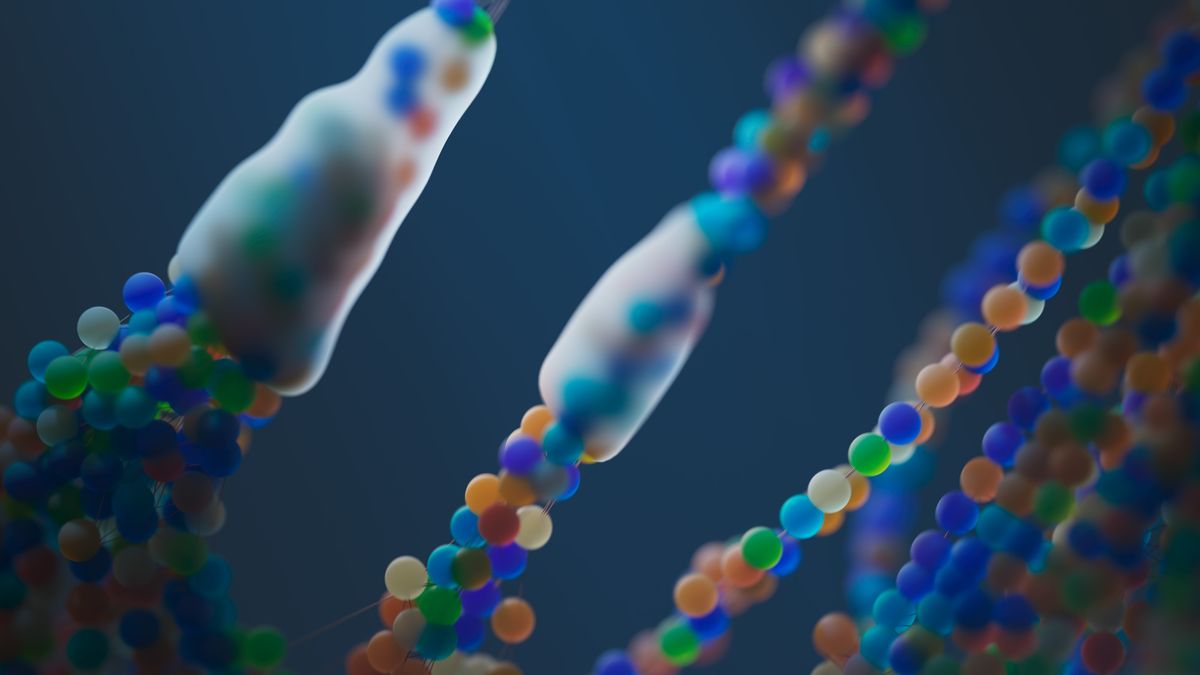 Dihexa for Huntington’s Disease
