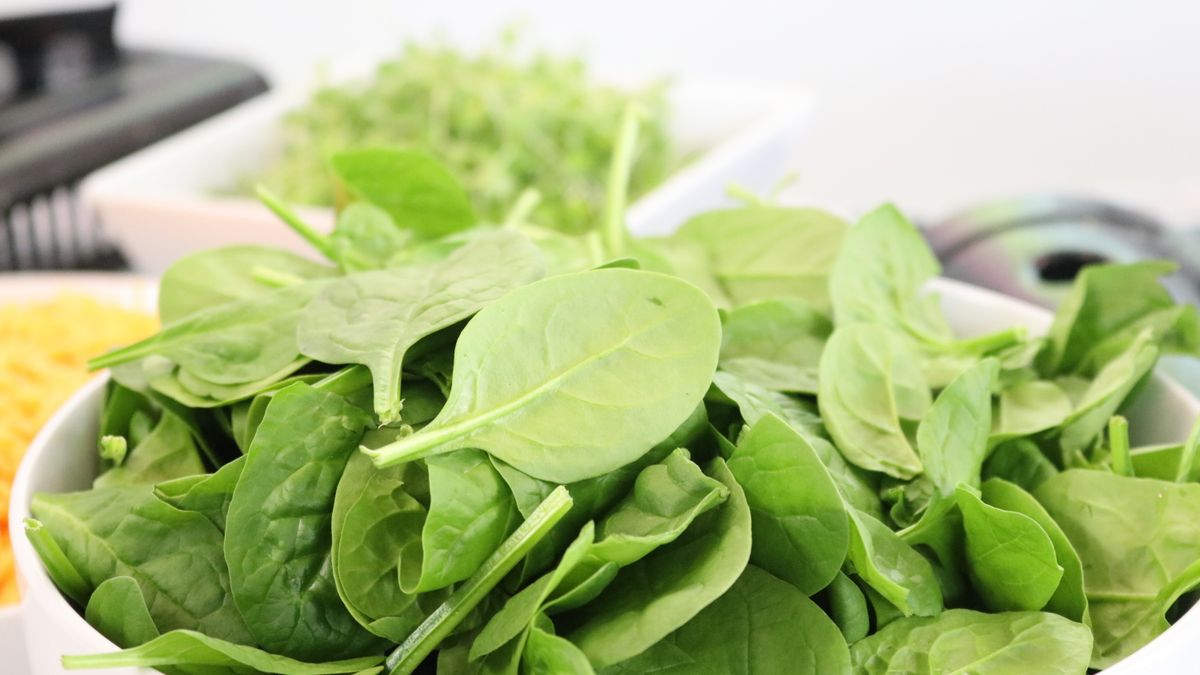 Iron Deficiency and Anaemia Brain Fog – Dihexa evidence review