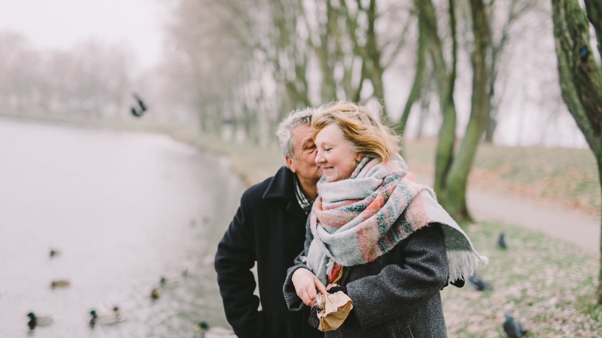 MCI and Brain Aging – Dihexa evidence review