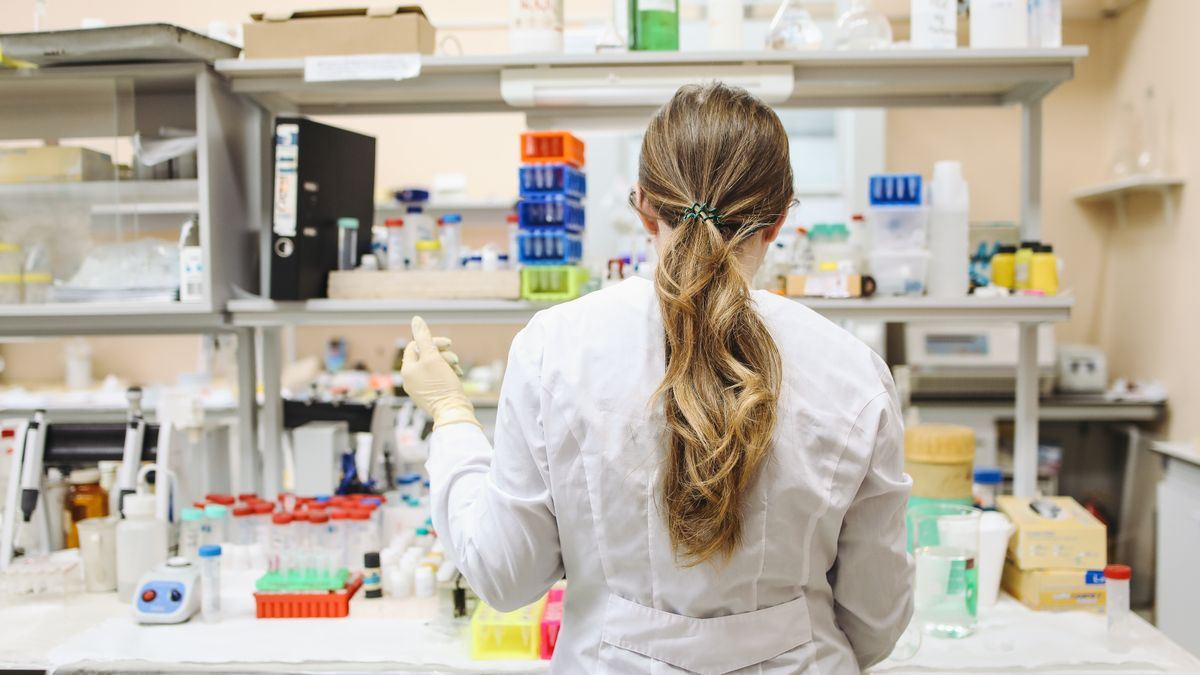2026 – Dihexa evidence review